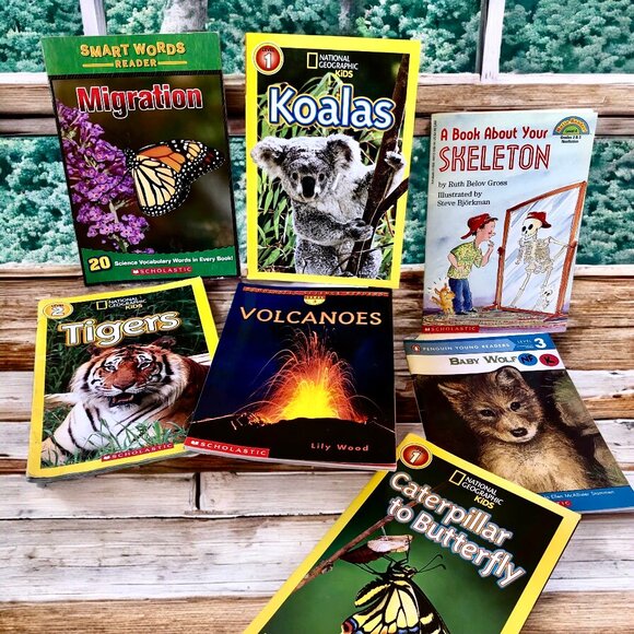 National Geograph KIDS Three Magazine+ Four Others Tigers Koalas Catterpillers - Picture 1 of 6